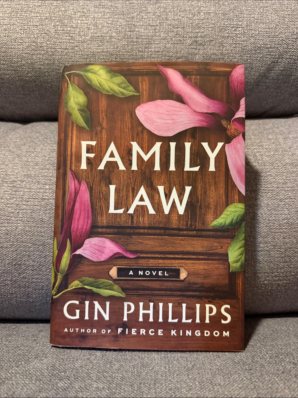 📚Family Law by Gin Phillips